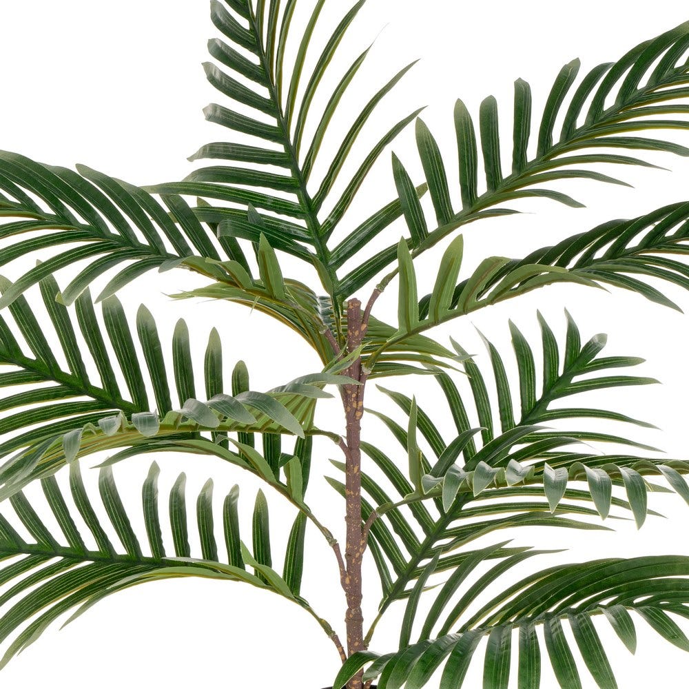 PALMEIRA FERRIERA 65CM