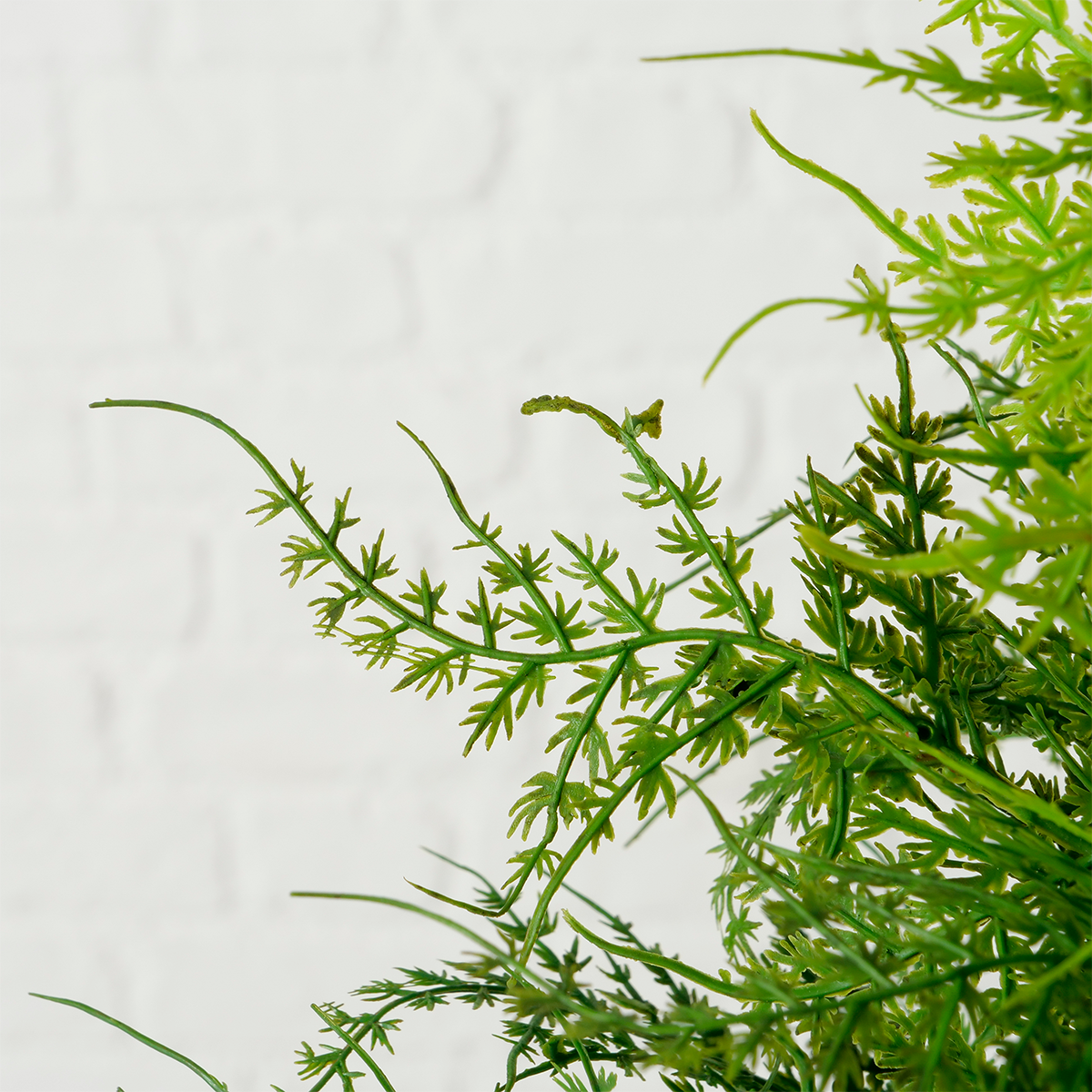 PLANTA CREMONA 35CM