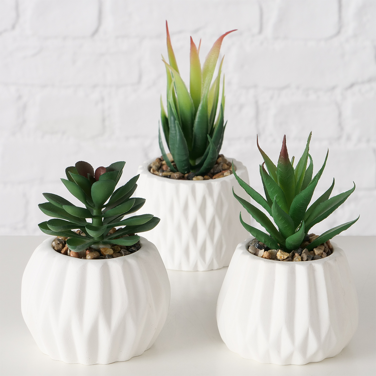 PLANTA SAYRA BLANCA 15CM