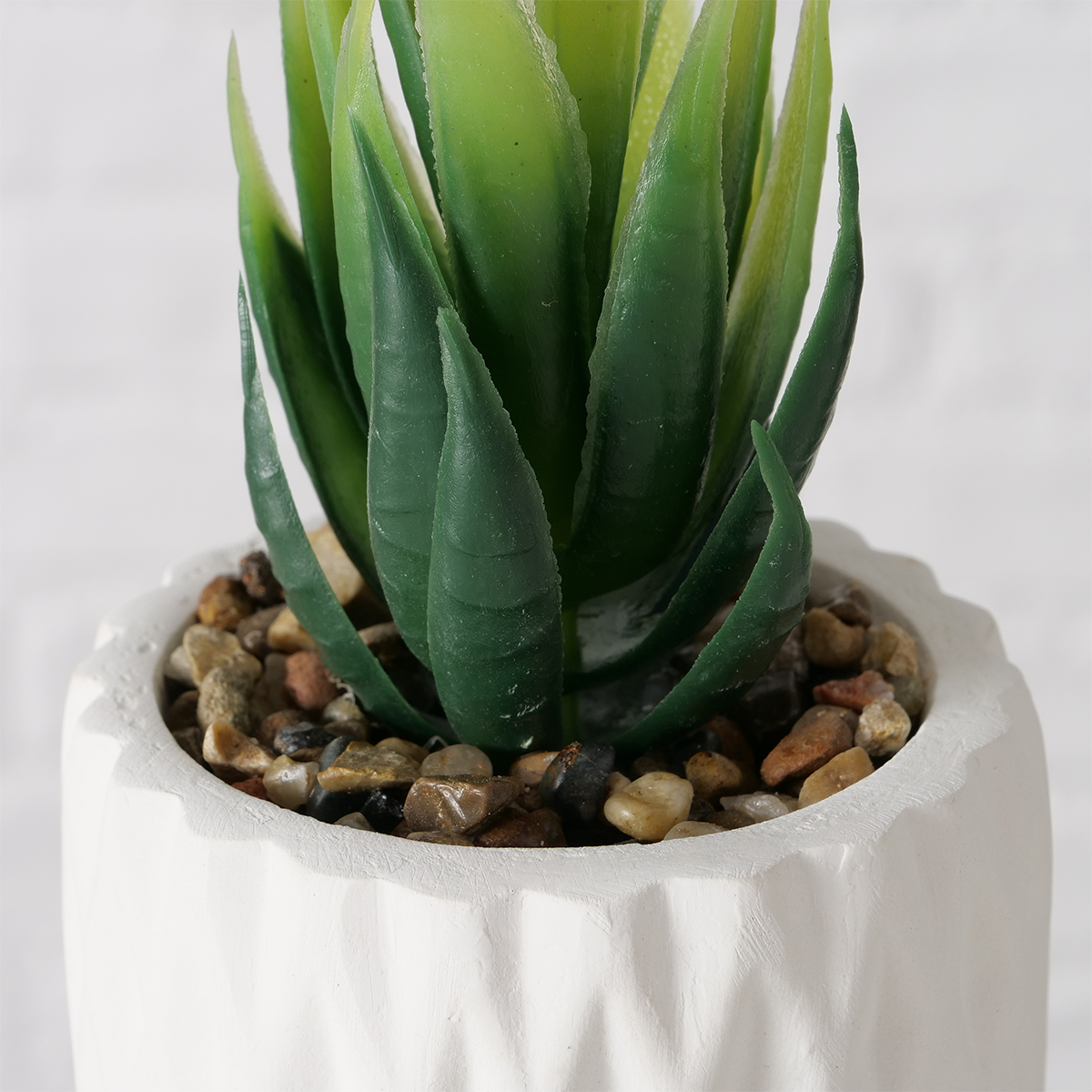 PLANTA SAYRA BLANCA 15CM