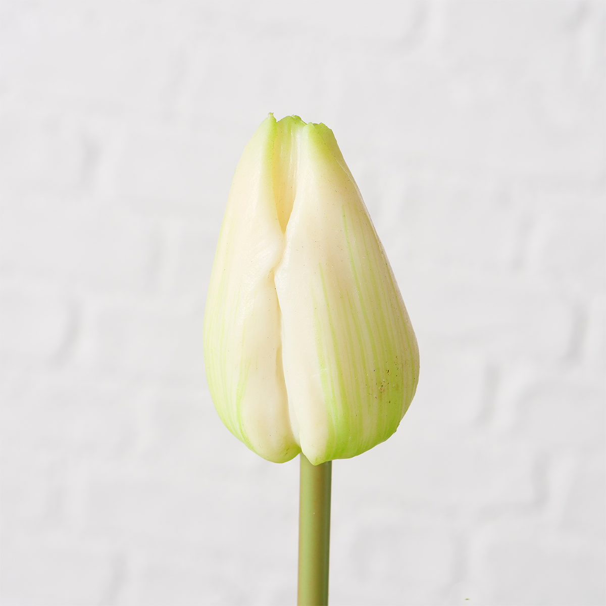 RAMA TULIPÁN KAMPEN BLANCO