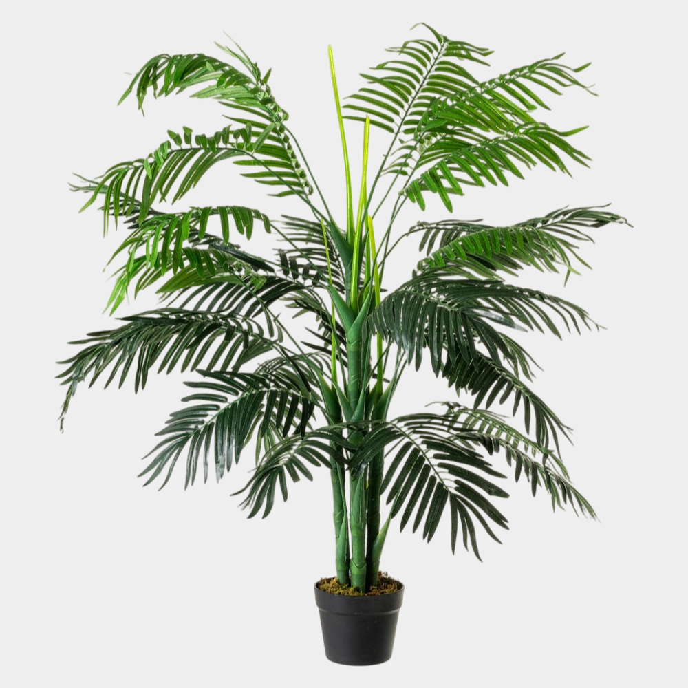 PALMEIRA JACOBINA 130CM