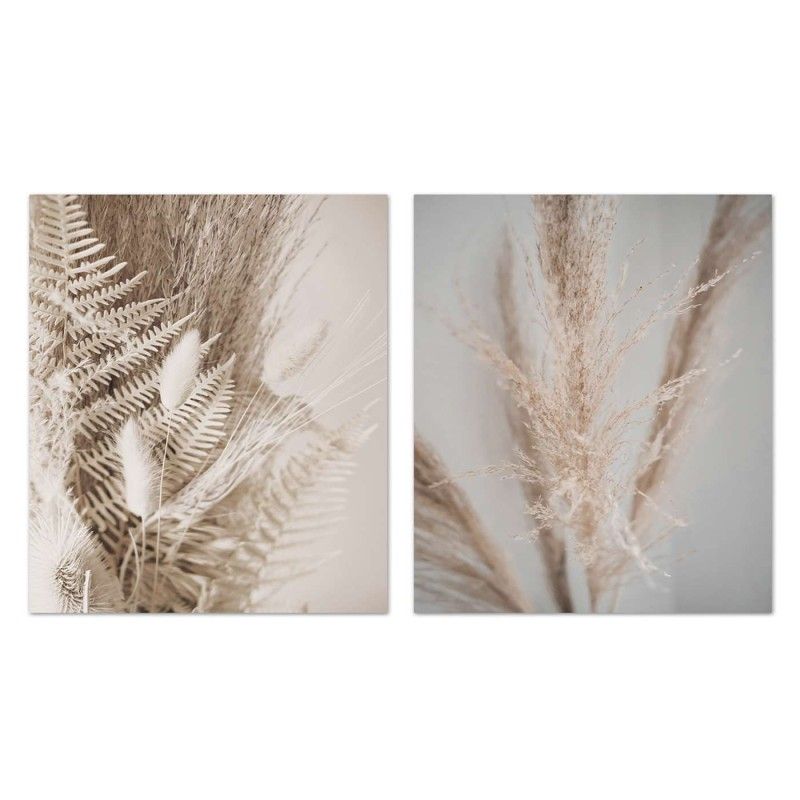 QUADRO PAMPAS TAYLA 40X50CM