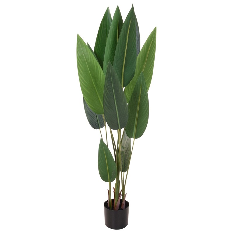 PLANTA KIKAO BANANA 130CM