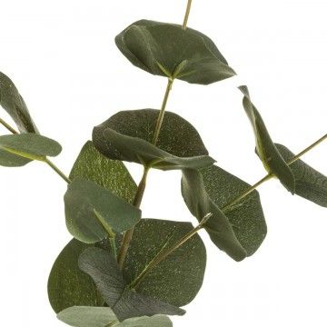 TAIAO EUCALYPTUS BRANCH 60 CM