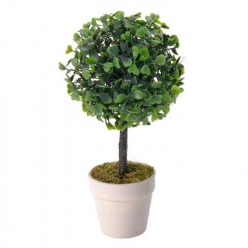 BUXUS EN CRISOL 9 pulgadas 2ass