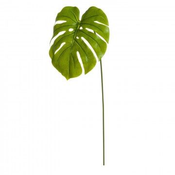 VARA MONSTERA 2/C PLÁSTICO PE 31 X 88 CM