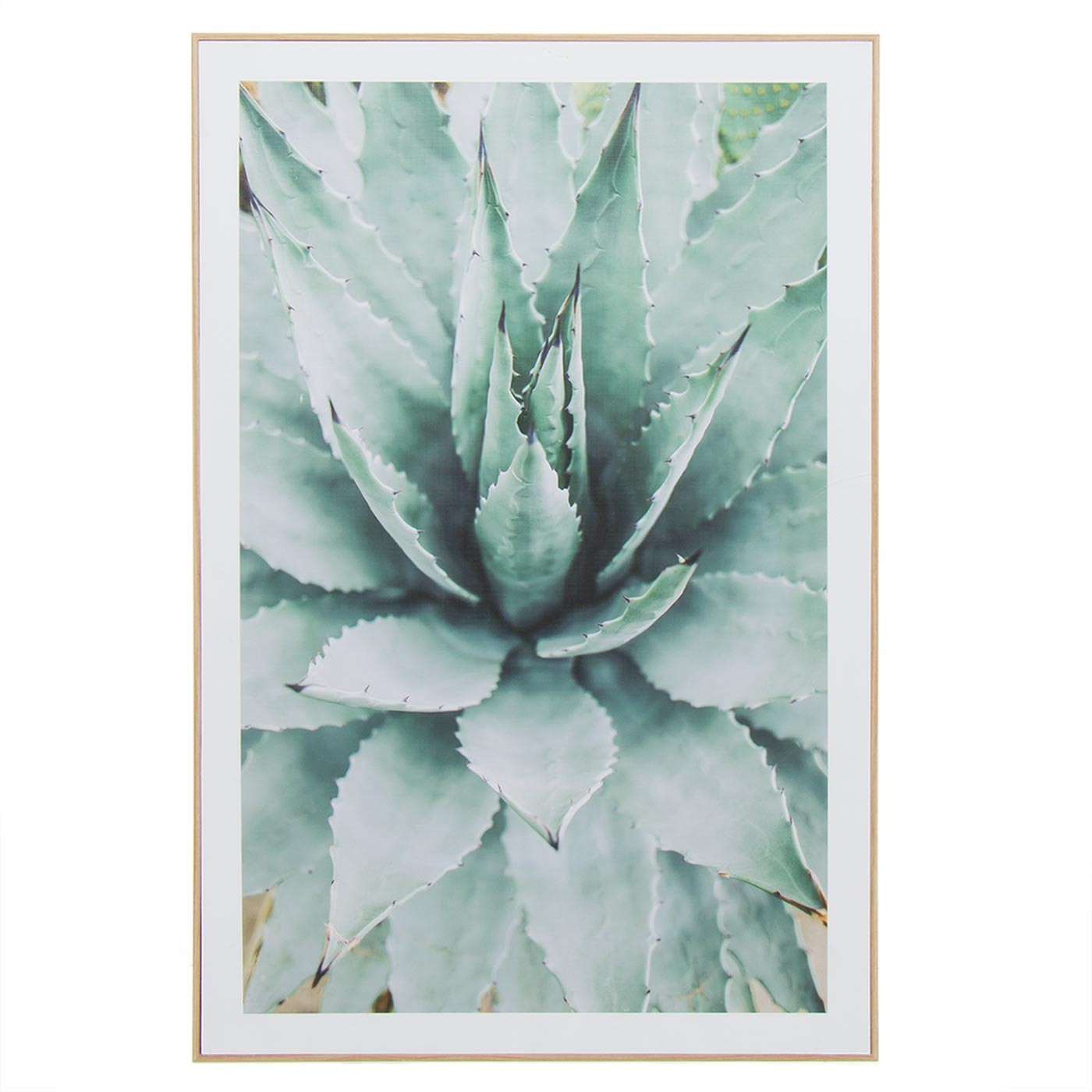 QUADRO CACTUS NARVANI 40X60CM