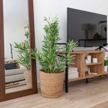 PLANTA BAMBU LAWANG 100CM