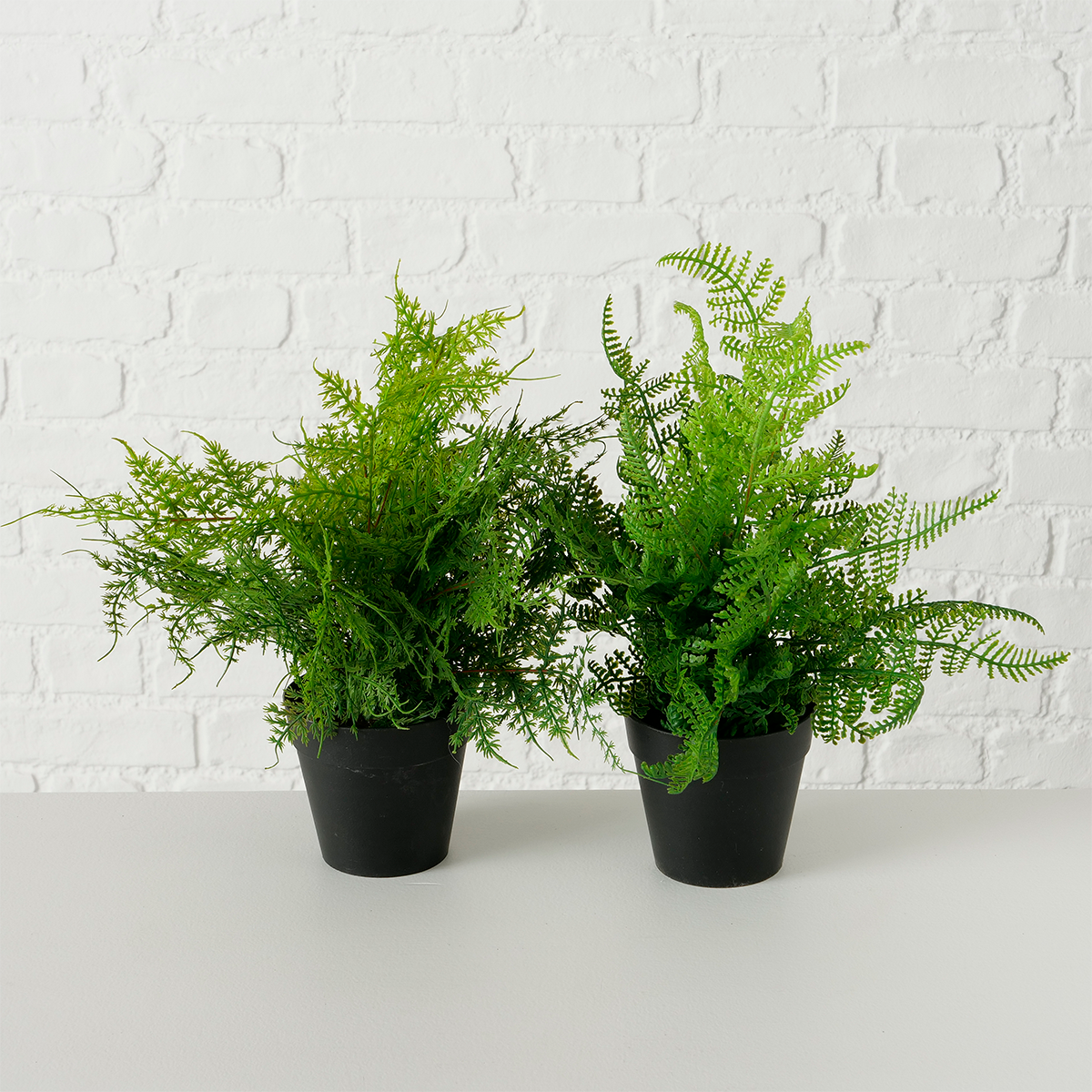 PLANTA CREMONA 35CM
