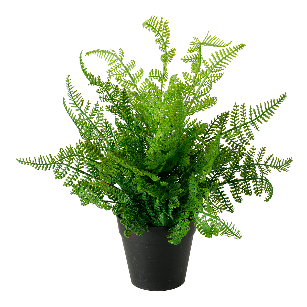 PLANTA CREMONA 35CM
