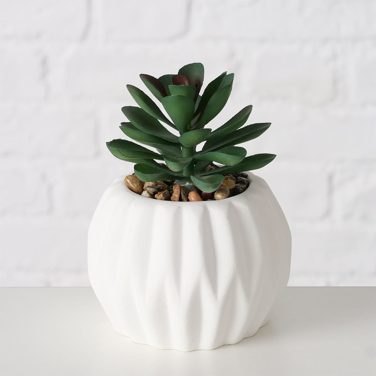 PLANTA SAYRA BLANCA 15CM
